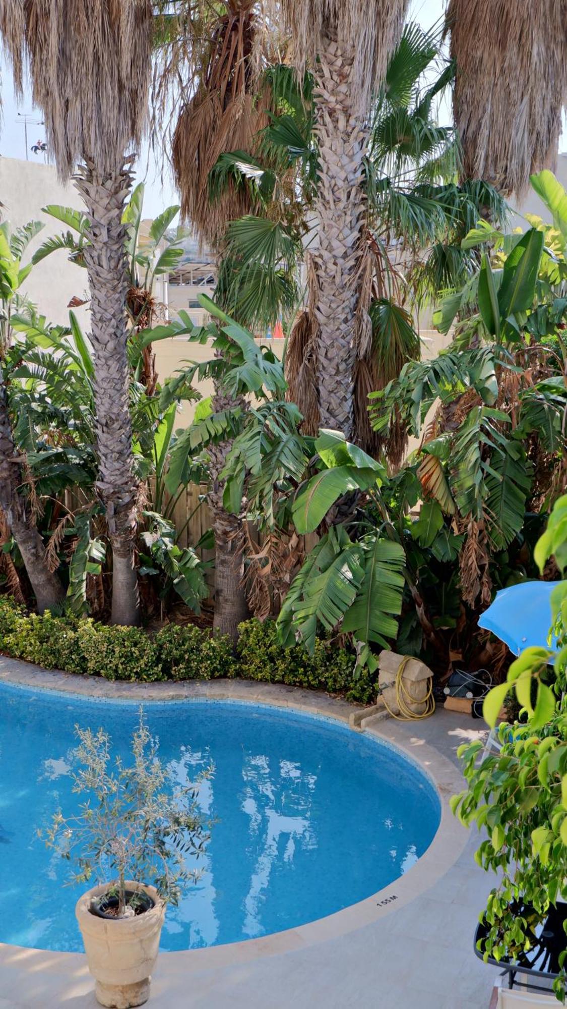 Village Knights Accommodation Żebbuġ Exteriör bild